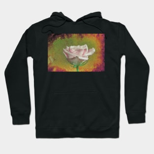 A painting of pink Rose . Hoodie